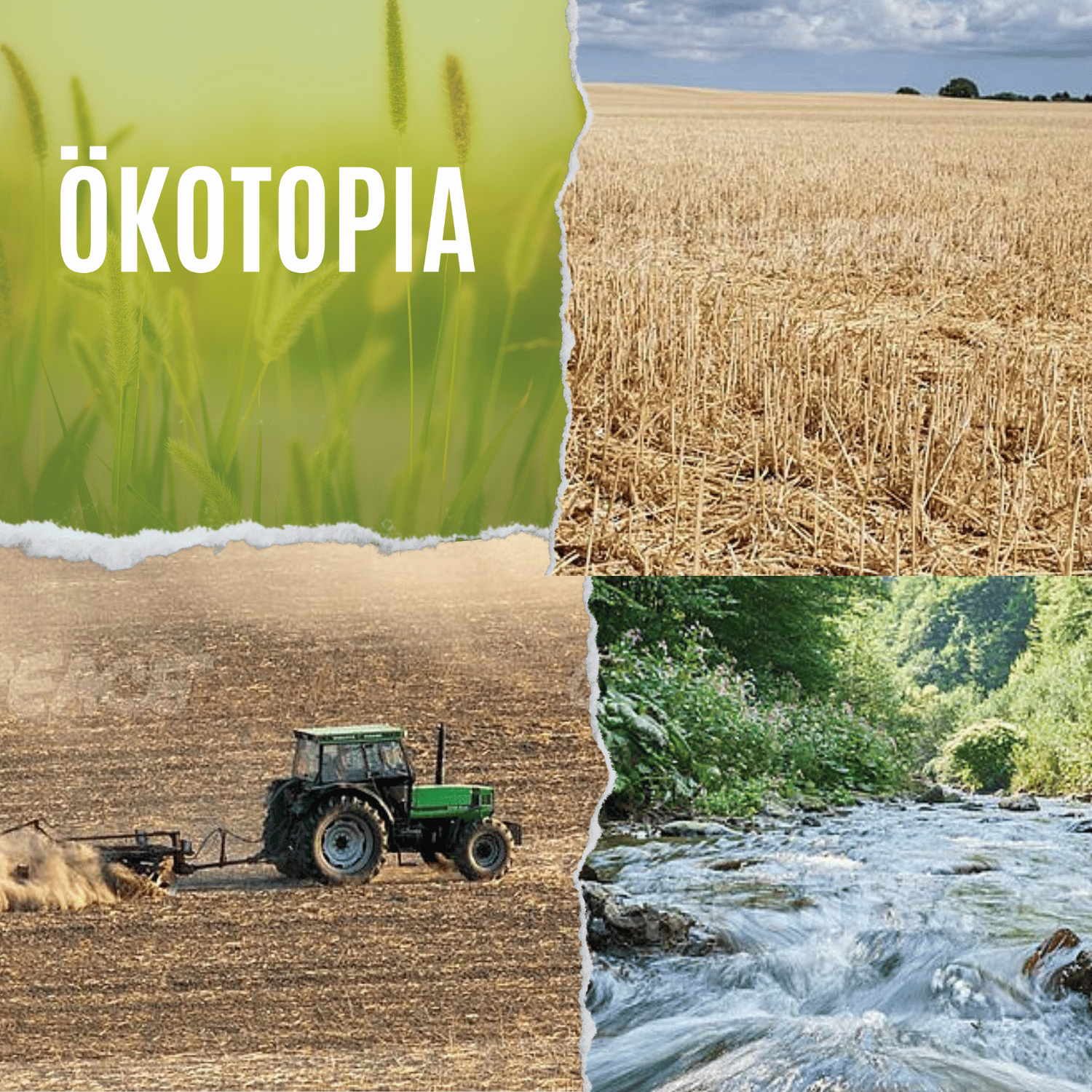 Ökotopia | Radio Darmstadt